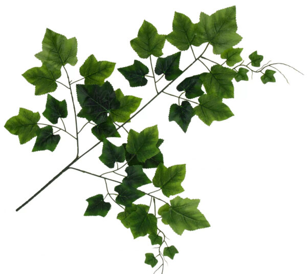 12X LIŚCIE LIŚĆ WINOGRONA WINOROŚL 70 CM - obrazek 2