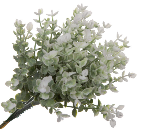 EUKALIPTUS MINI 6X GAŁĄZKA DODATEK SZTUCZNY 23 CM - obrazek 2