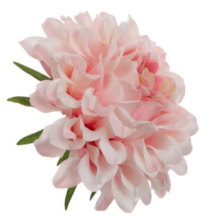 DALIA GŁÓWKA WYROBOWA CREAM LT PINK 12 SZT.