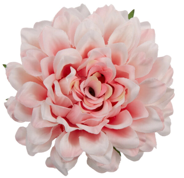 DALIA GŁÓWKA WYROBOWA CREAM LT PINK 12 SZT. - obrazek 2