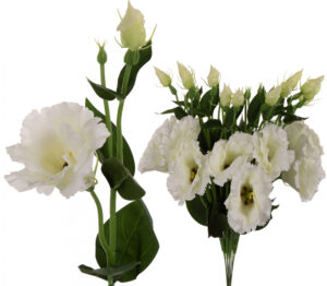 EUSTOMA BIAŁA GAŁAZKA 12X KWIATY SZTUCZNE 48 CM