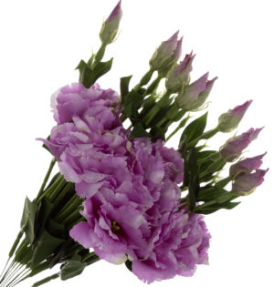 12X EUSTOMA J. FIOLET GAŁĄZKA 48 CM