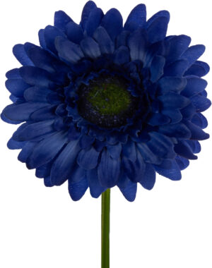 GERBERA BLUE GAŁĄZKA 46 CM ŁODYGOWA