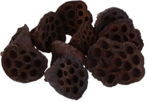 10X LOTOS NATURALNY SUSZ NATURALNY EGZOTYCZNY