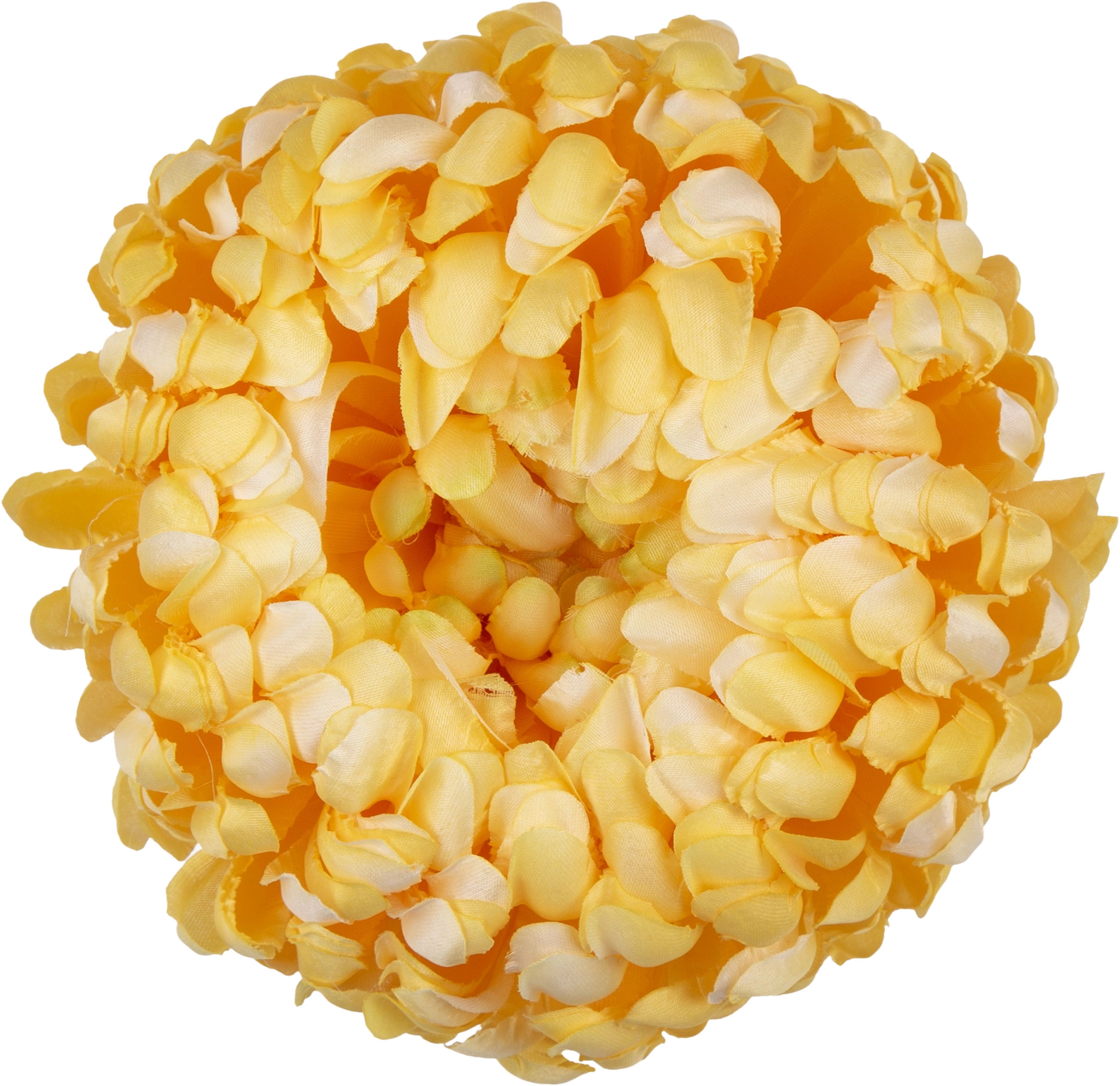 6X CHRYZANTEMA GŁÓWKA WYROBOWA SUNNY YELLOW ŻÓŁTA PREMIUM - obrazek 3