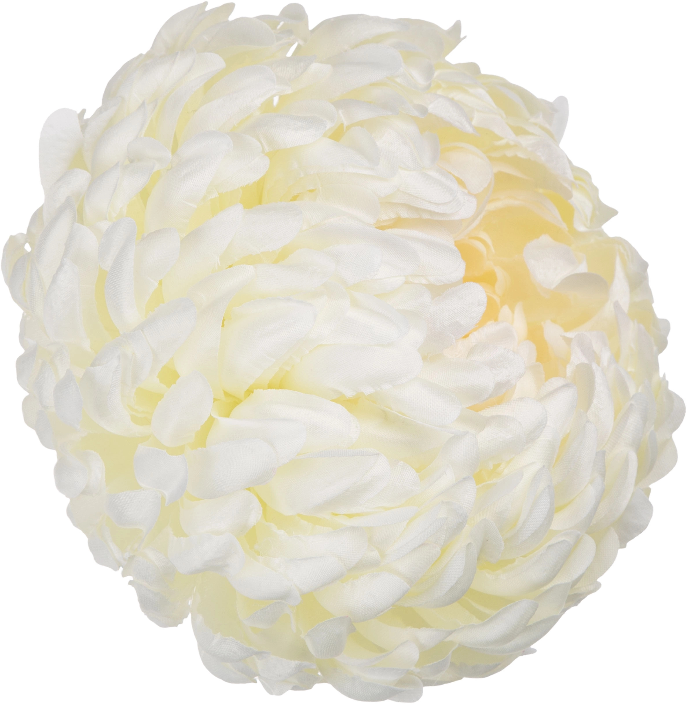 6X CHRYZANTEMA GŁÓWKA WYROBOWA DR CREAM PREMIUM