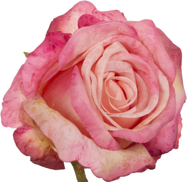 12X RÓŻA GŁÓWKA WYROBOWA PINK