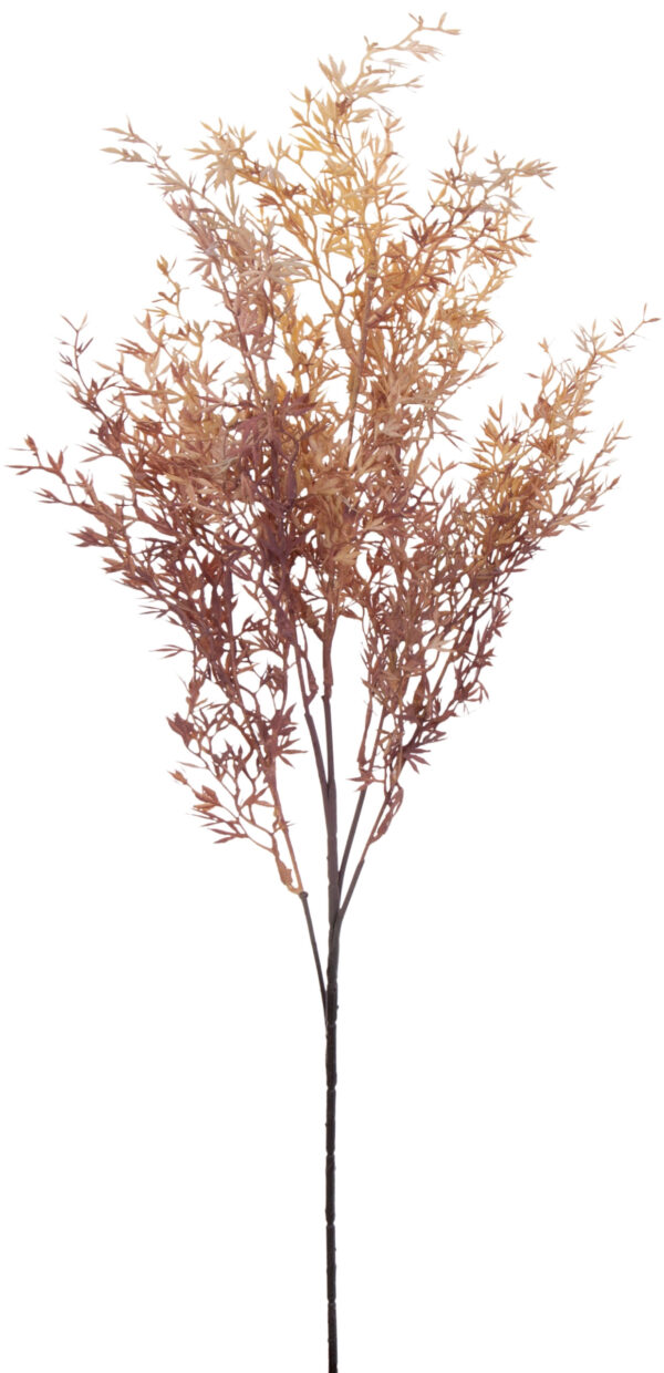 ASPARAGUS JESIENNY GAŁĄZKA 80 CM DODATEK KWIATY SZTUCZNE