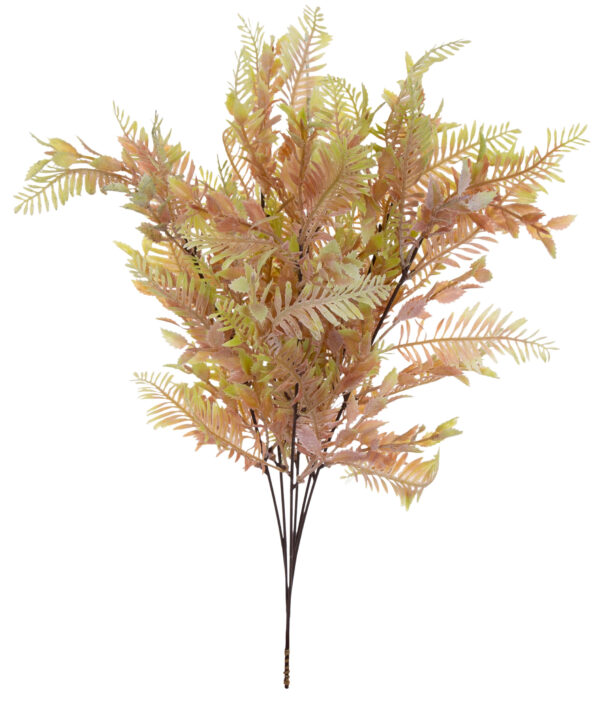 6X PAPROĆ ZIELONA RÓŻOWA 52 CM - obrazek 2
