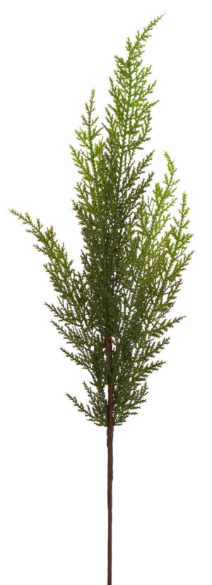 CYPRYSIK GAŁĄZKA 60 CM