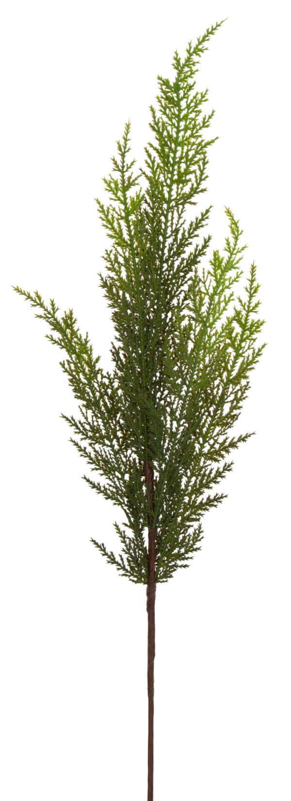 CYPRYSIK GAŁĄZKA 60 CM