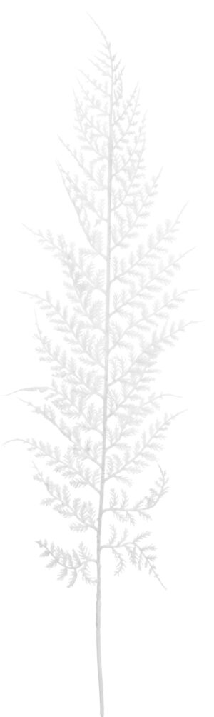 LIŚĆ PAPROĆ PAPROCI BIAŁA GAŁĄZKA DO KOMPOZYCJI 57 CM