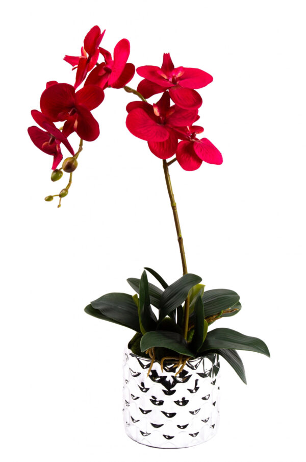 LIŚĆ LIŚCIE KORZENIE STORCZYKA GUMOWE 23 CM - obrazek 3