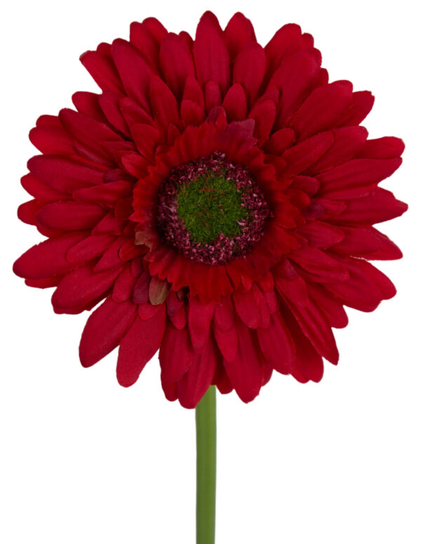 GERBERA CZERWONA GAŁĄZKA 46 CM ŁODYGOWA