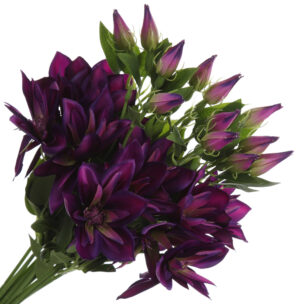 KLEMATIS BUKIET GAŁĄZKA X12 PURPLE BEAUTY KWIATY SZTUCZNE