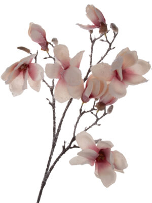 MAGNOLIA KREM RÓŻ OŚNIEŻONA GAŁĄZKA 84 CM PREMIUM