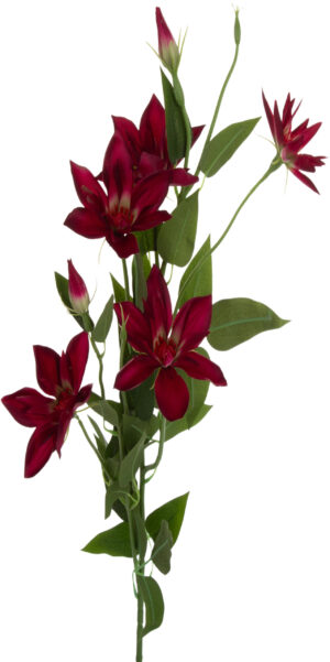 KLEMATIS BURGUND GAŁĄZKA KWIATY SZTUCZNE 84 CM