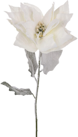 POINCESJA BIAŁA GWIAZDA BETLEJEMSKA OŚNIEŻONA 78 CM