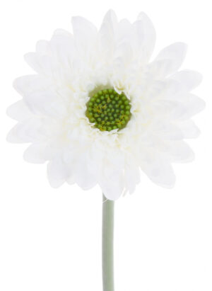 GERBERA BIAŁA GAŁĄZKA 37 CM ŁODYGOWA