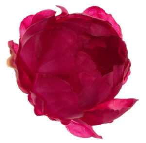 24X PEONIA PEŁNIK JASKIER GŁÓWKA WYROBOWA BEAUTY