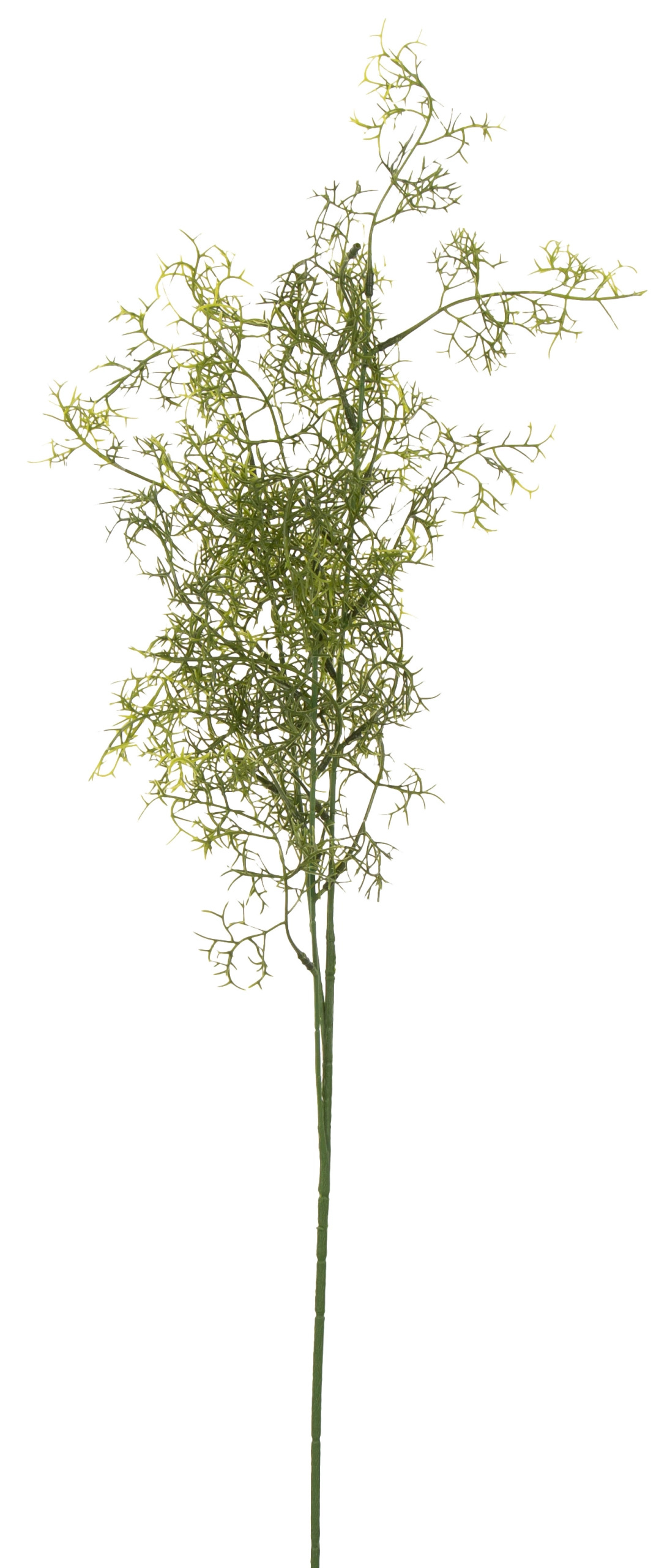 ASPARAGUS GAŁĄZKA 75 CM DODATEK KWIATY SZTUCZNE