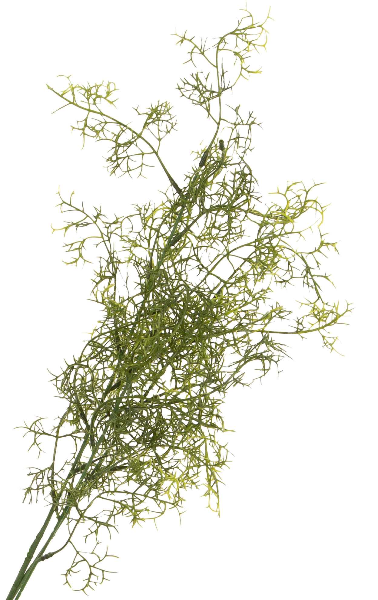 ASPARAGUS GAŁĄZKA 75 CM DODATEK KWIATY SZTUCZNE - obrazek 2