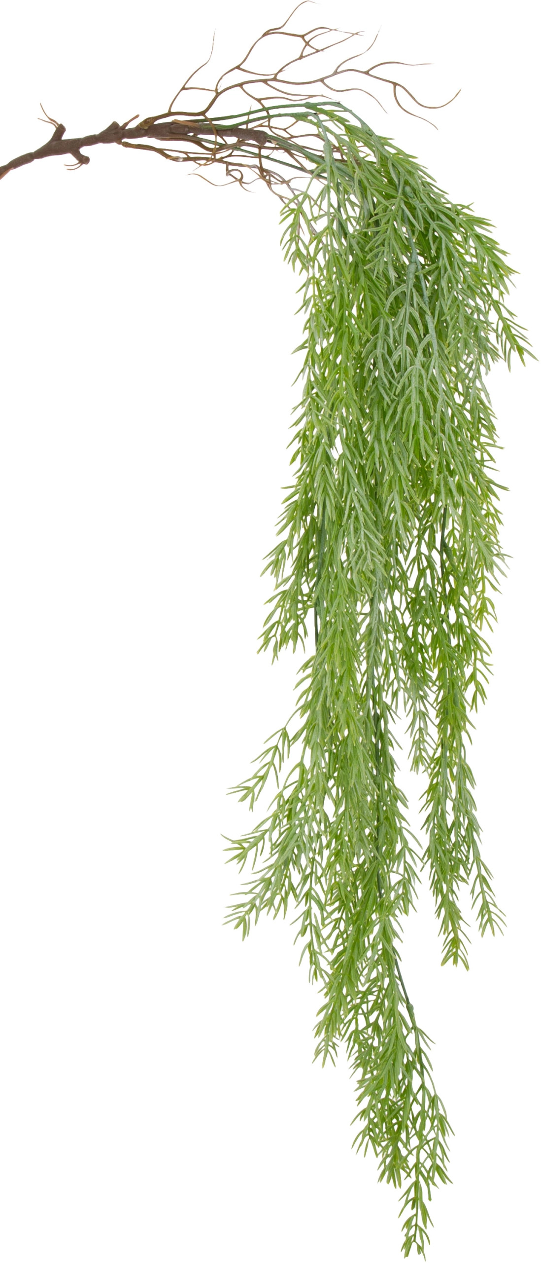 ASPARAGUS ZWIS PNĄCZE 90 CM KWIATY SZTUCZNE