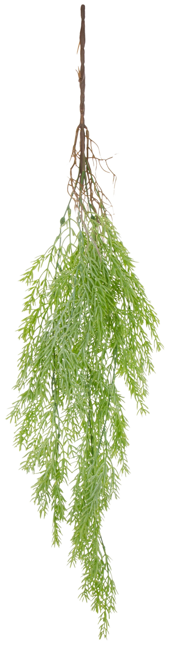 ASPARAGUS ZWIS PNĄCZE 90 CM KWIATY SZTUCZNE - obrazek 2