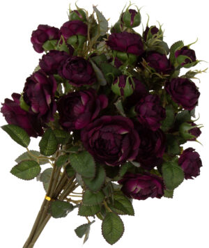 6X DZIKA RÓŻA PURPLE GREEN GAŁĄZKA 50 CM