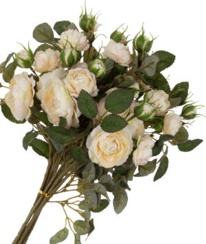 6X DZIKA RÓŻA PEARL PEACH GAŁĄZKA 50 CM
