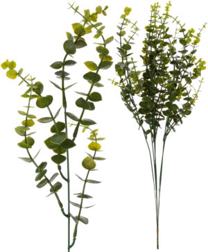 6X BUKSZPAN GRYCZPAN BORÓWKA 60 CM