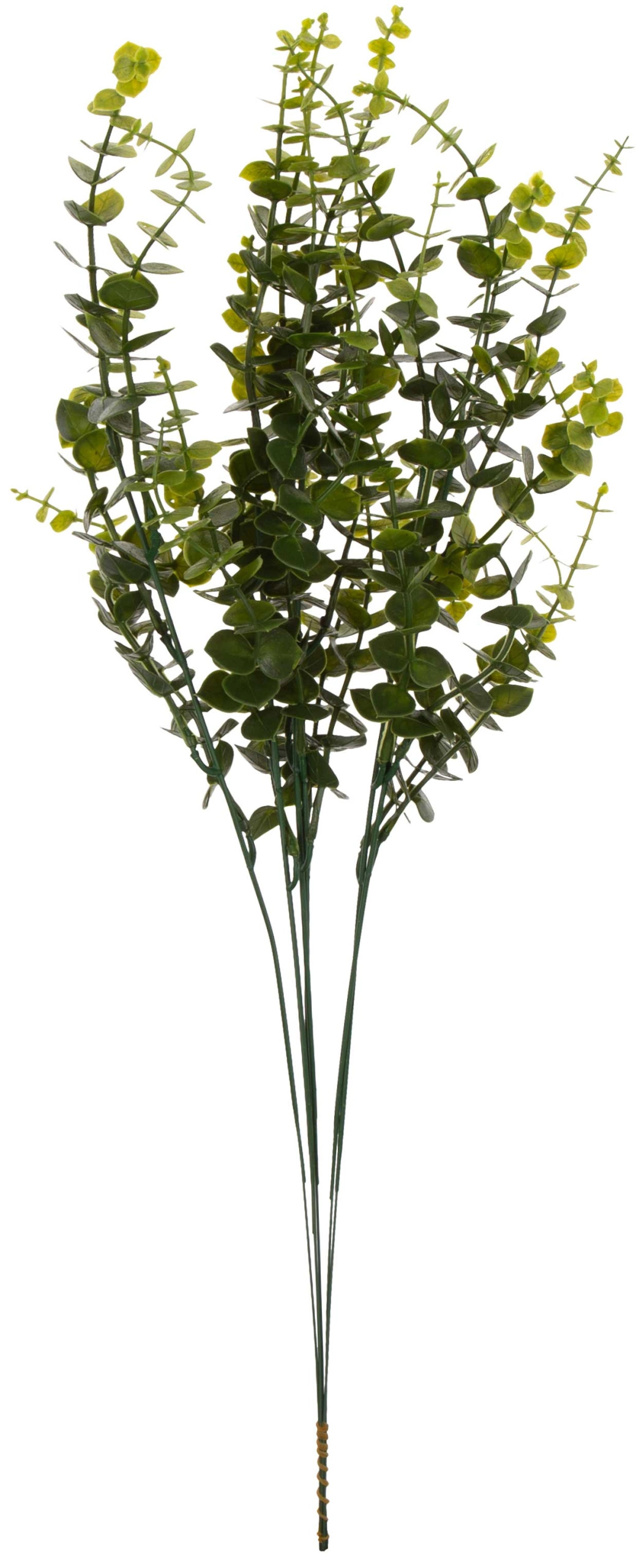 6X BUKSZPAN GRYCZPAN BORÓWKA 60 CM - obrazek 2