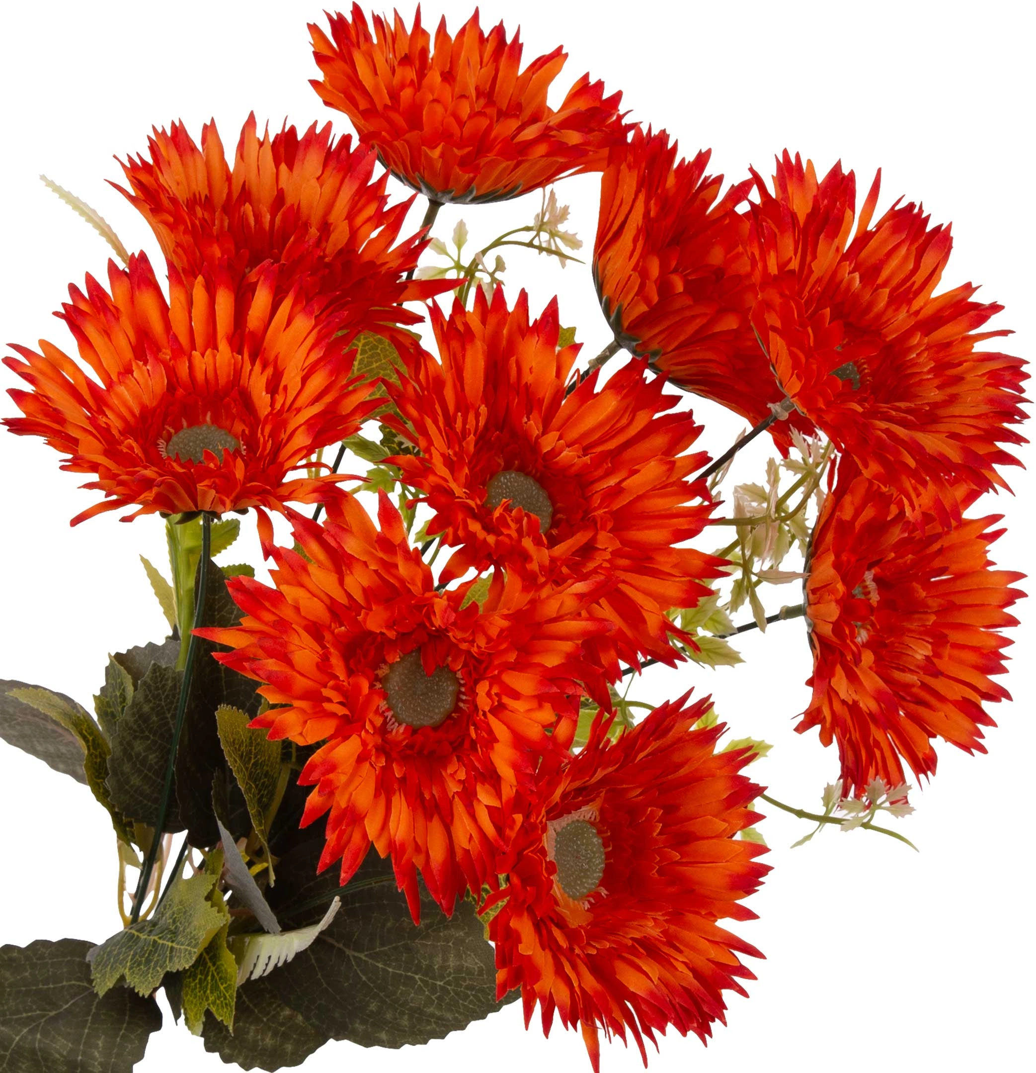 GERBERA POMARAŃCZOWA BUKIET 9 KWIATÓW 46 CM - obrazek 2