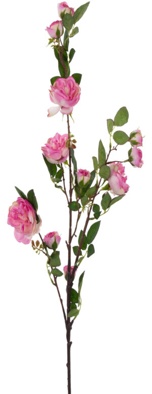RÓŻA ANGIELSKA GAŁĄZKA PINK E. BEAUTY