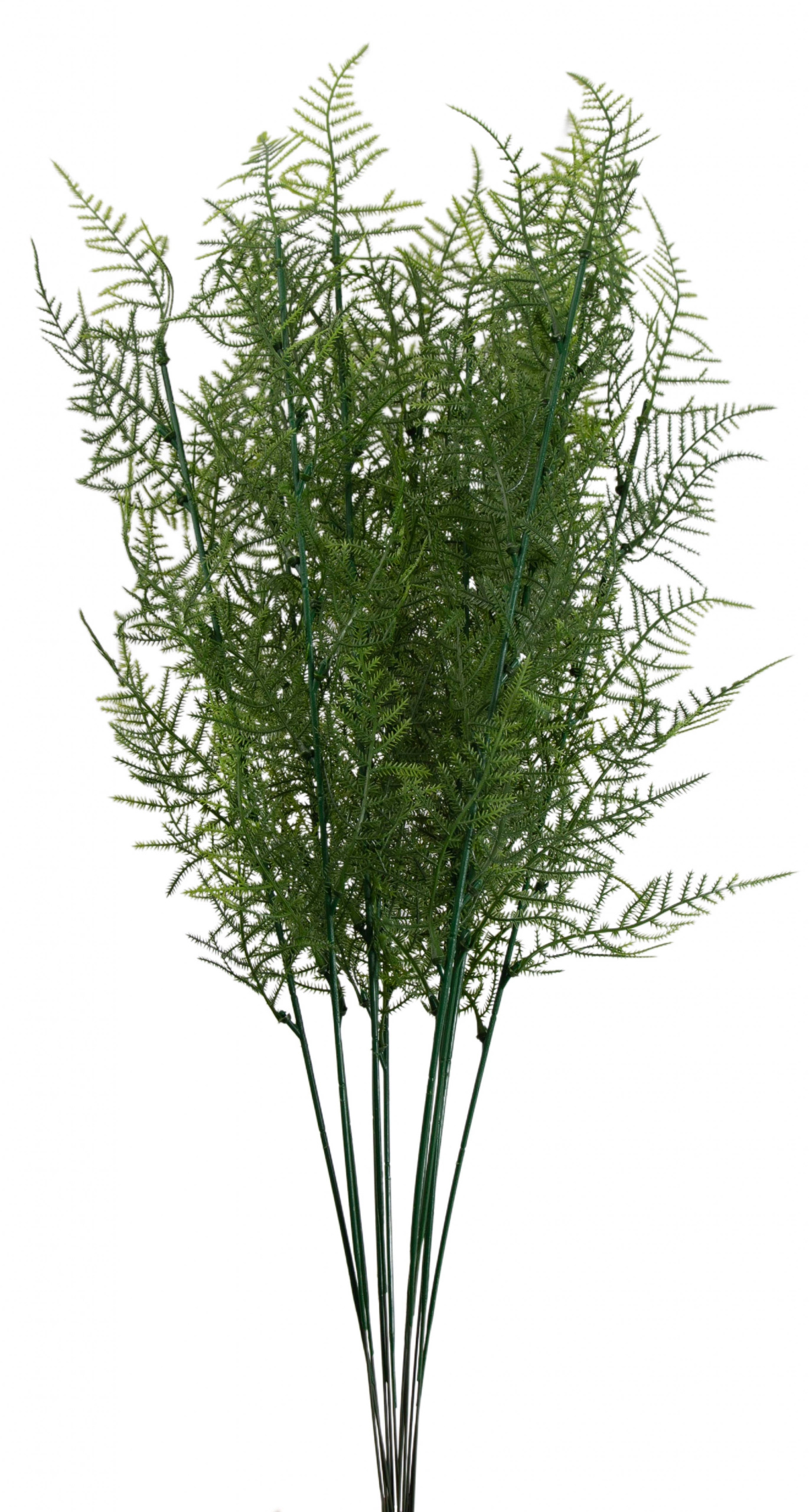 PLUMOSUS ASPARAGUS GAŁĄZKA 12X KWIATY SZTUCZNE - obrazek 2