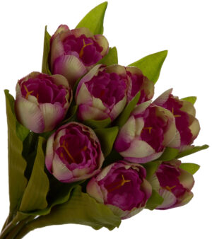 9X TULIPAN FIOLETOWY ZIELONY BUKIET TULIPANÓW MATERIAŁ WIOSNA