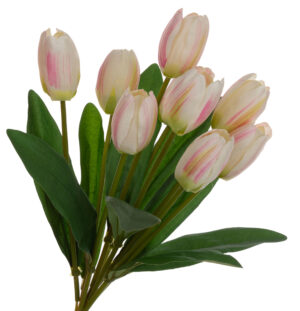 9X TULIPAN KREM RÓŻ BUKIET TULIPANÓW MATERIAŁ WIOSNA