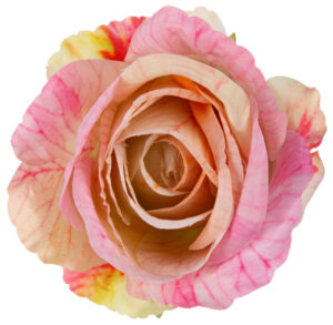 RÓŻA GŁÓWKA WYROBOWA PINK YELLOW RÓŻ ŻÓŁTA 12 SZT.