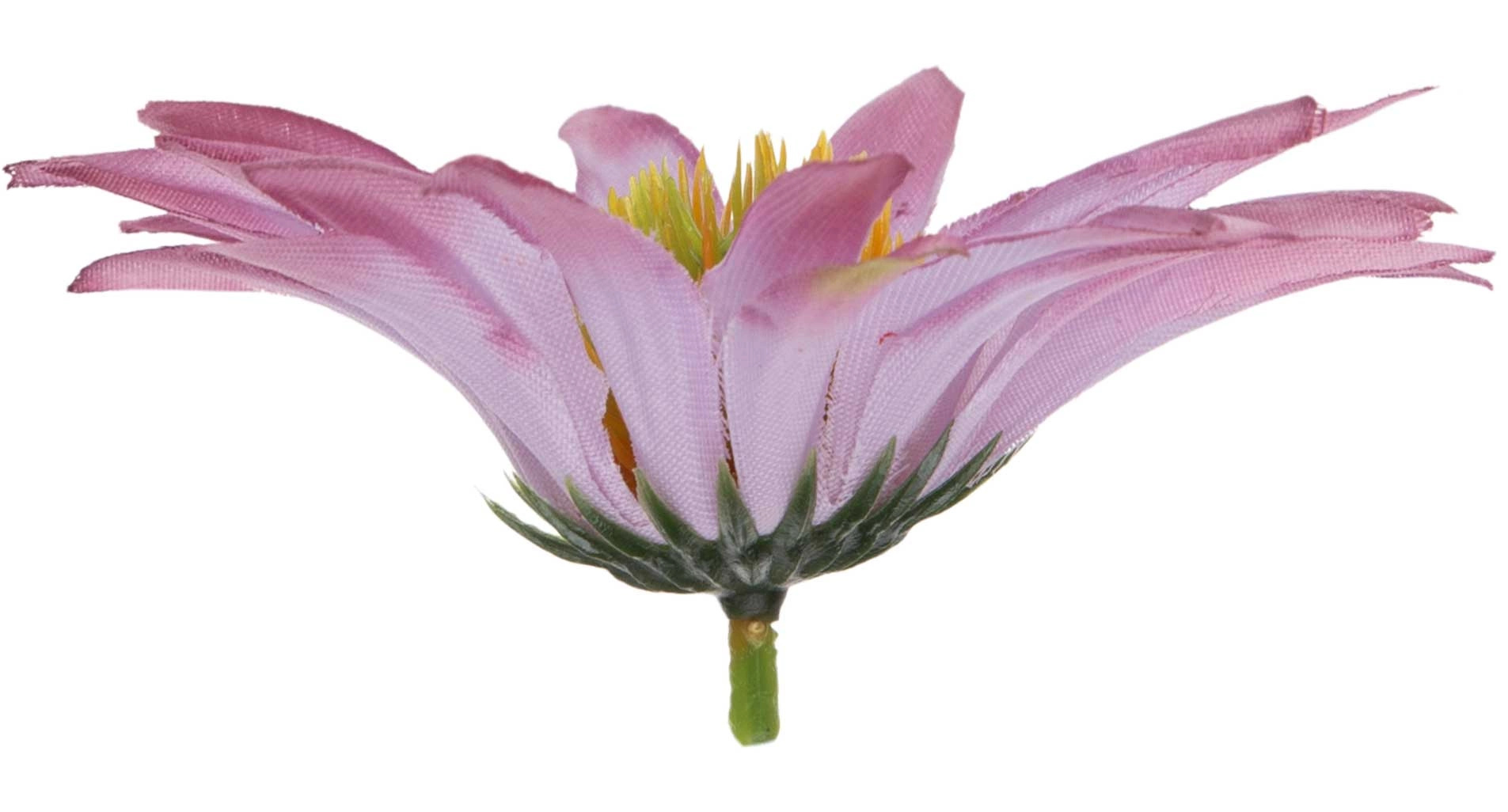 ASTER AUTUMN DK PINK RUDBEKIA JEŻÓWKA GŁÓWKA WYROBOWA - obrazek 2