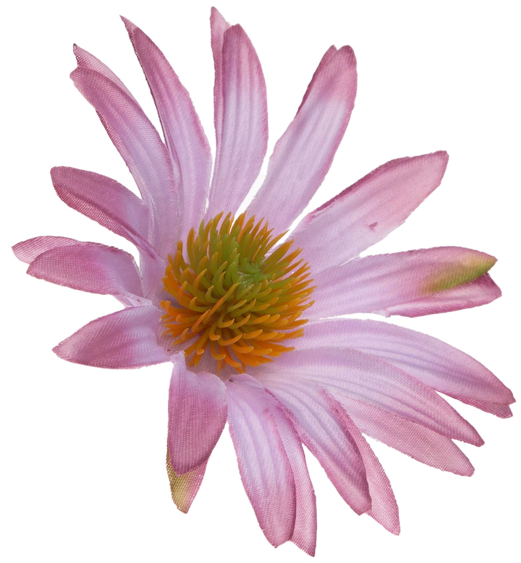 ASTER AUTUMN DK PINK RUDBEKIA JEŻÓWKA GŁÓWKA WYROBOWA - obrazek 3