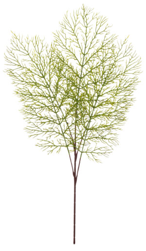 ASPARAGUS GAŁĄZKA 68 CM DODATEK KWIATY SZTUCZNE