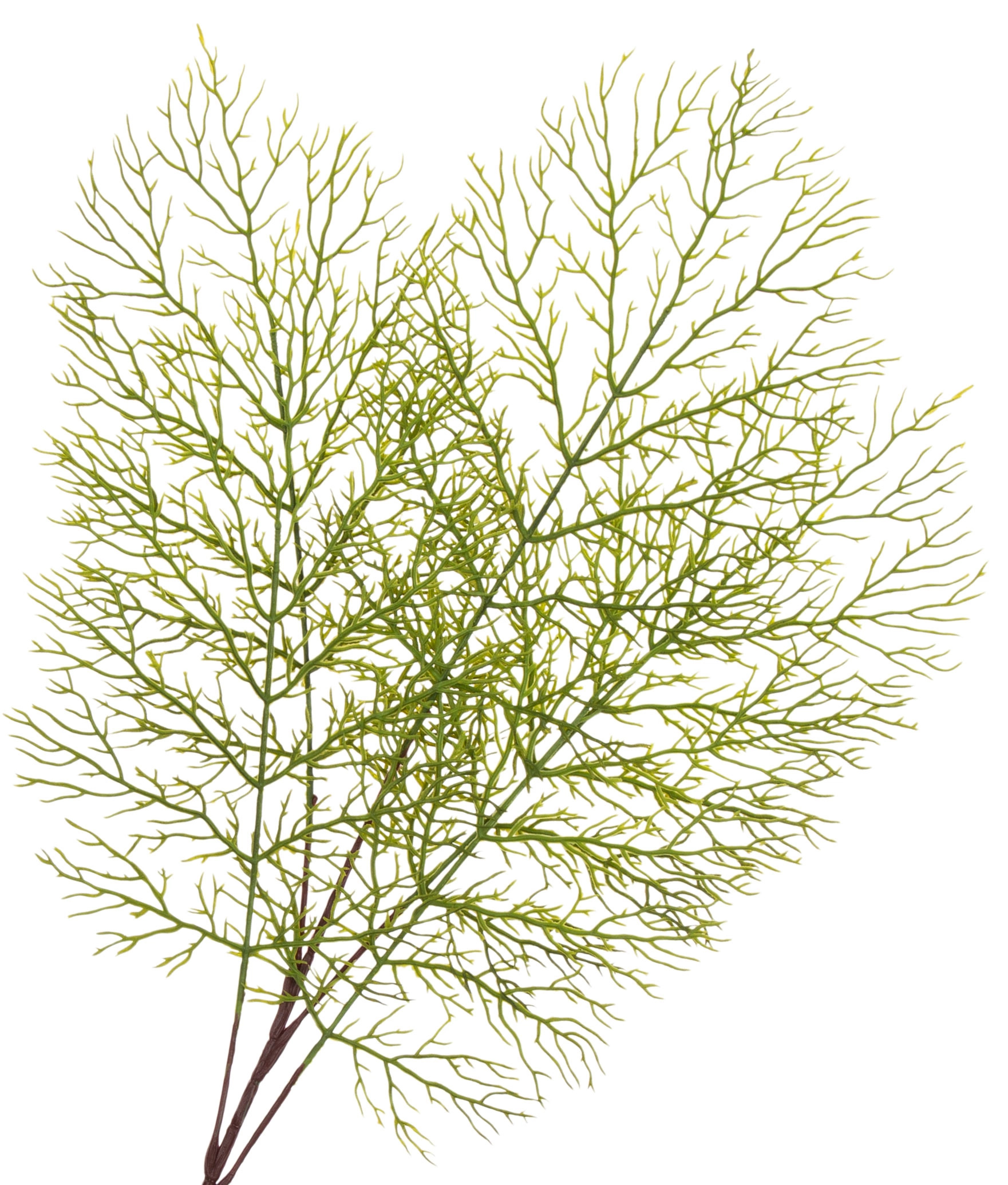 ASPARAGUS GAŁĄZKA 68 CM DODATEK KWIATY SZTUCZNE - obrazek 2