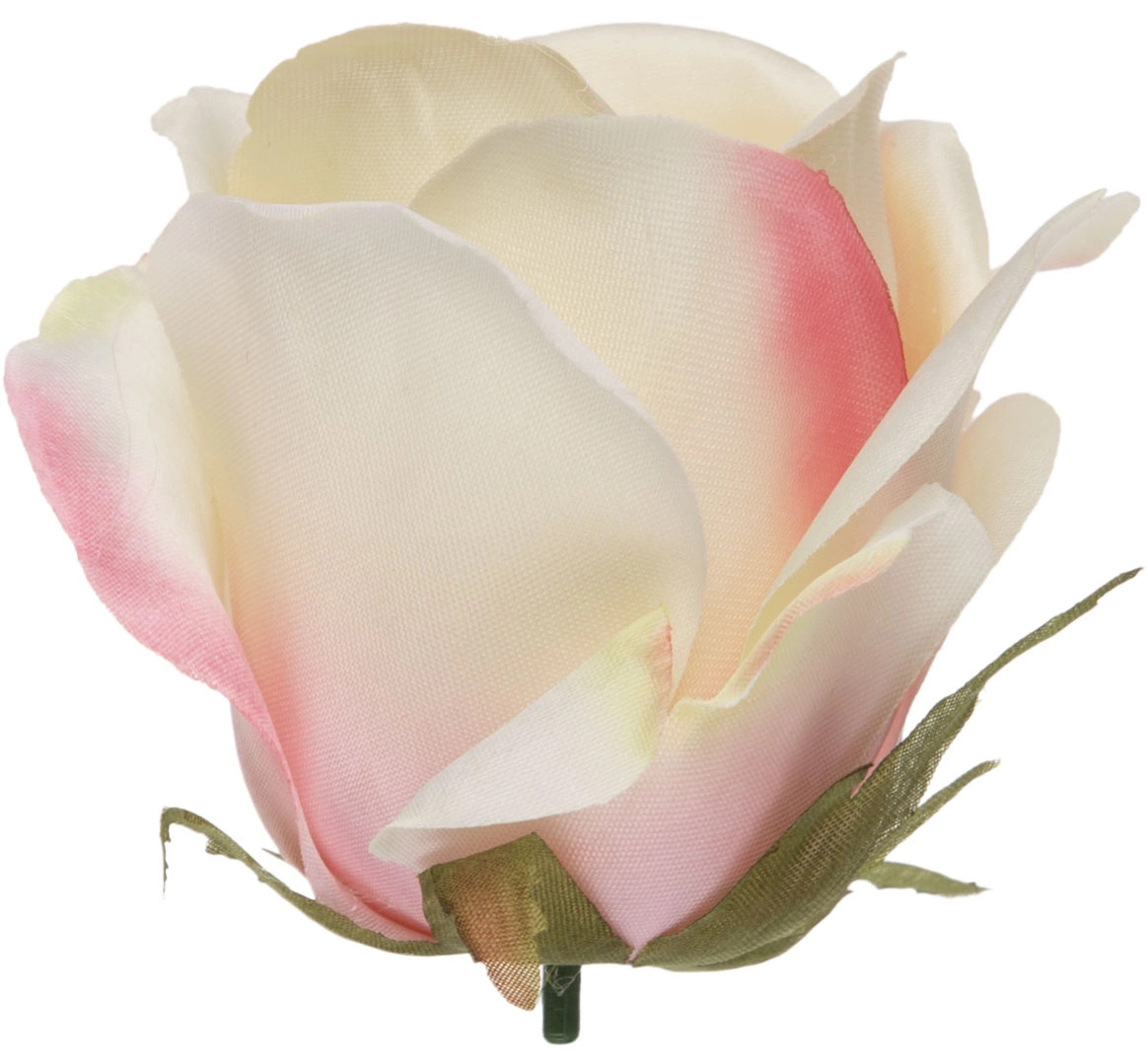 RÓŻA GŁÓWKA WYROBOWA VANILLA EDGE PINK GREEN 12 SZT. - obrazek 2