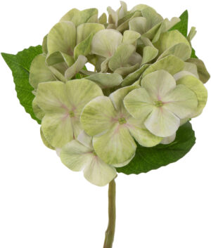HORTENSJA ZIELONA GAŁĄZKA 35 CM