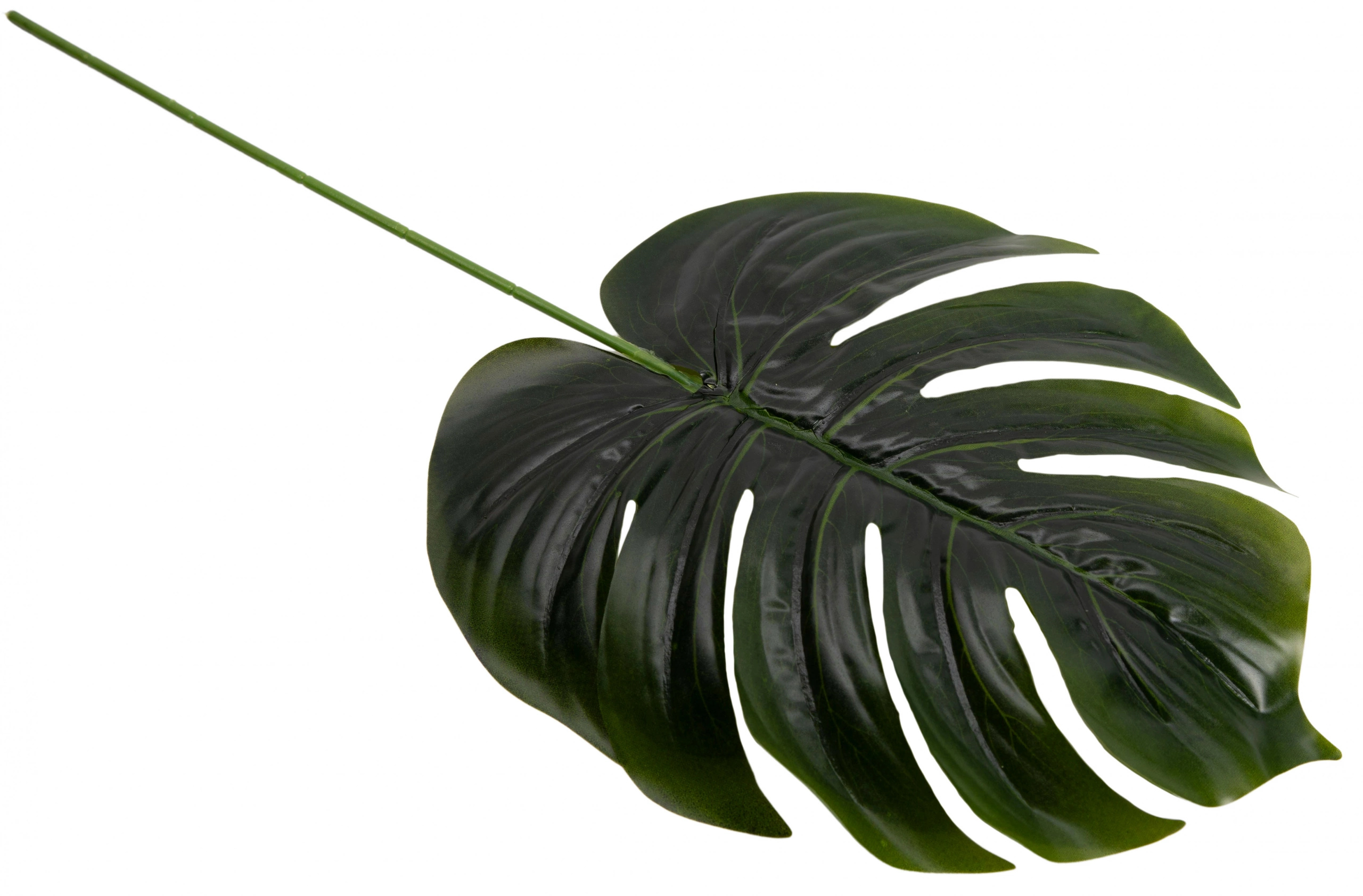 MONSTERA LIŚĆ ZIELONY 12X 39 CM DODATEK