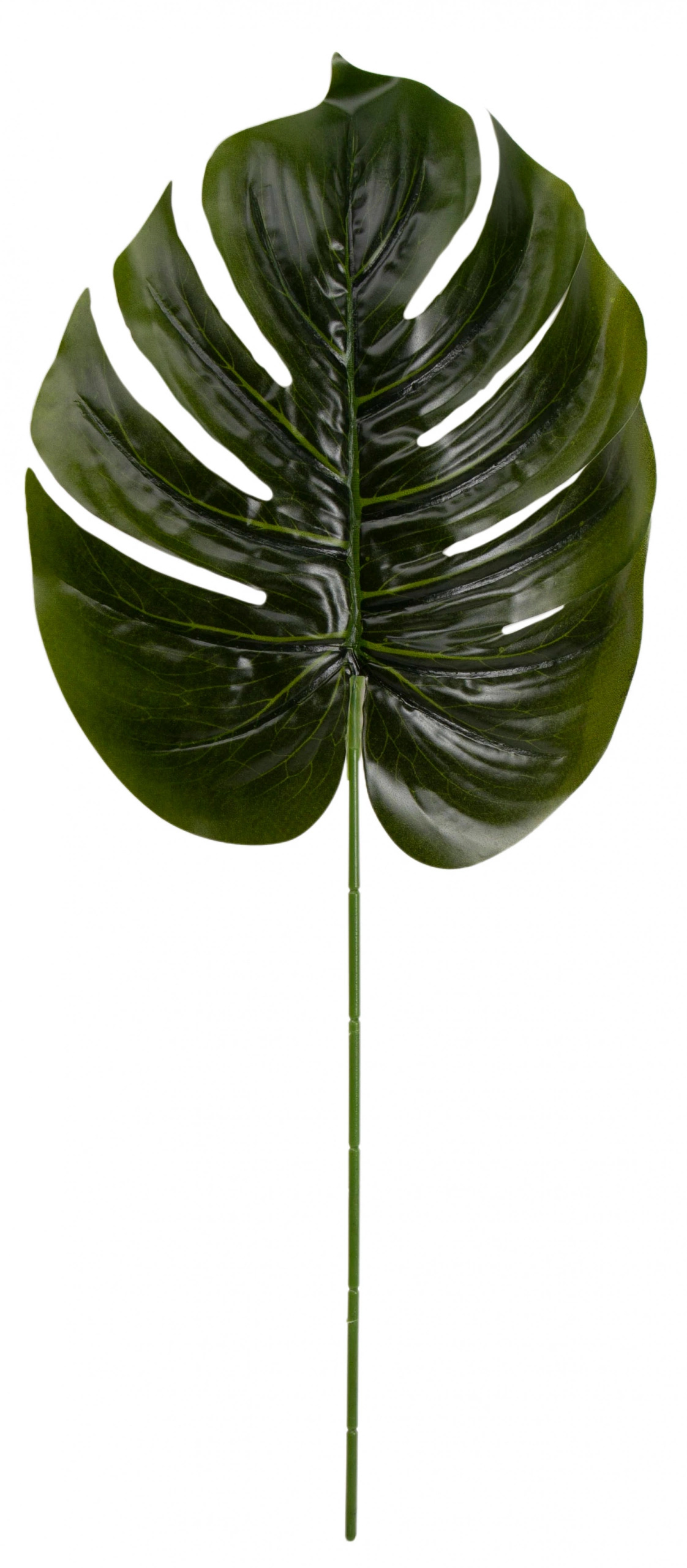 MONSTERA LIŚĆ ZIELONY 12X 39 CM DODATEK - obrazek 2