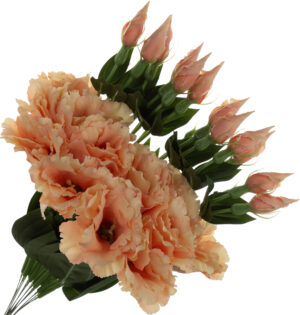 12X EUSTOMA BRZOSKWINIOWA GAŁĄZKA 48 CM