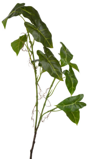ALOKAZJA FRYDEK GAŁĄZKA LIŚCI 104 CM