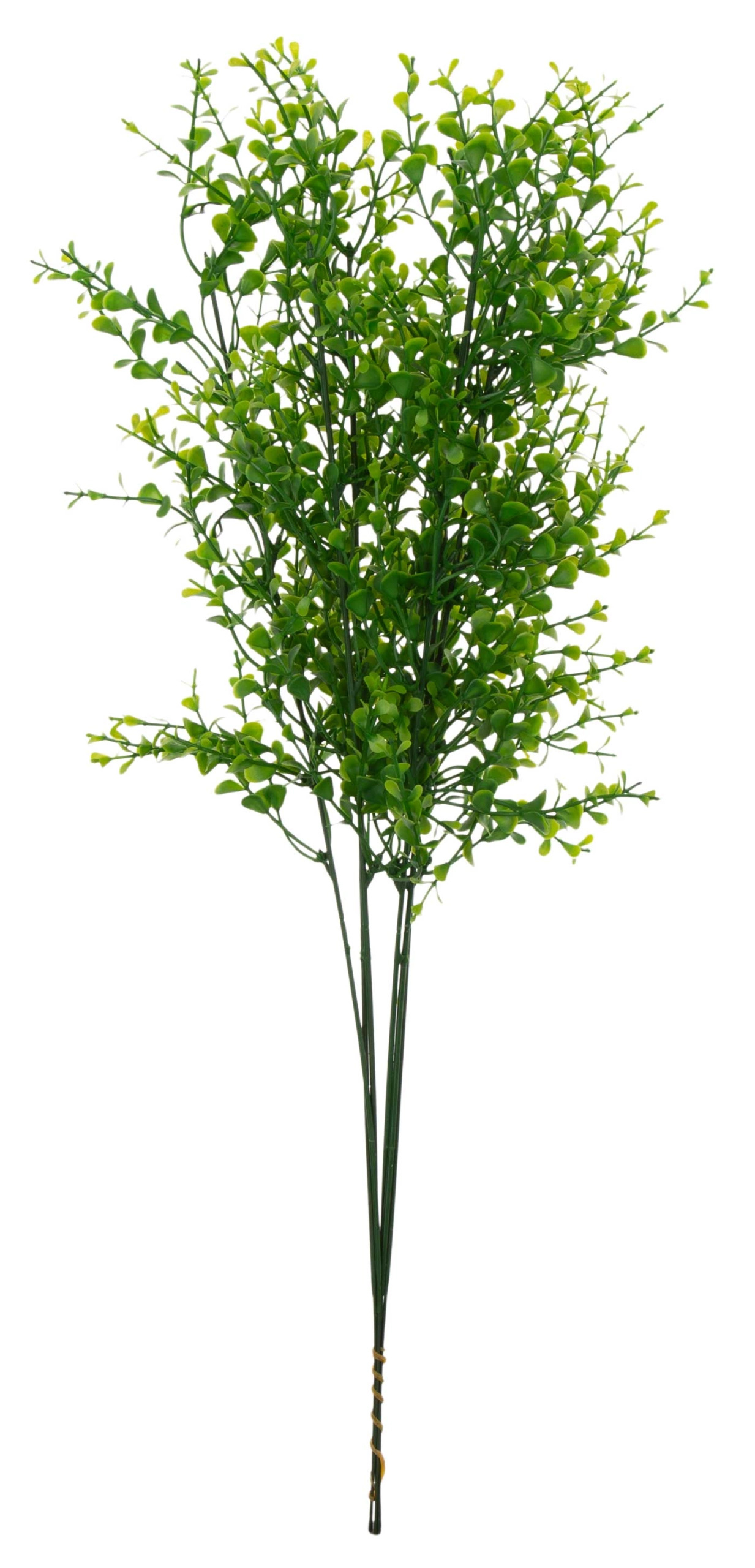 6X BUKSZPAN GRYCZPAN BORÓWKA 58 CM - obrazek 2