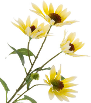 JEŻÓWKA ŻÓŁTA RUDBEKIA GAŁĄZKA 72 CM